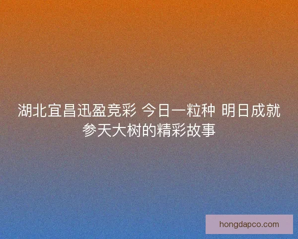 湖北宜昌迅盈竞彩 今日一粒种 明日成就参天大树的精彩故事
