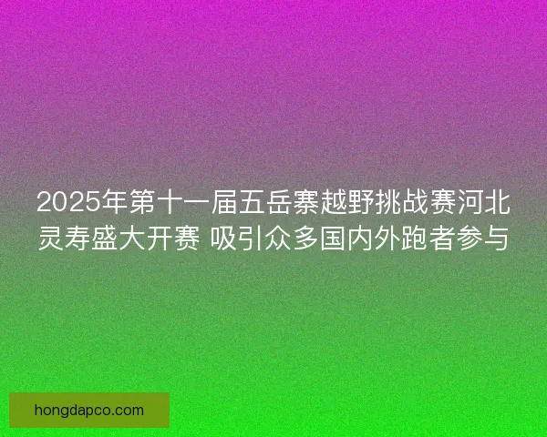 2025年第十一届五岳寨越野挑战赛河北灵寿盛大开赛 吸引众多国内外跑者参与