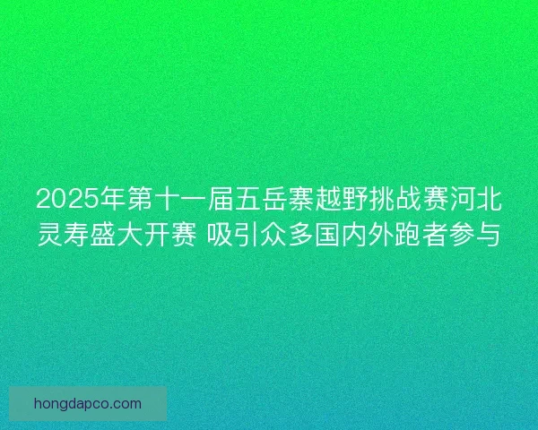 2025年第十一届五岳寨越野挑战赛河北灵寿盛大开赛 吸引众多国内外跑者参与